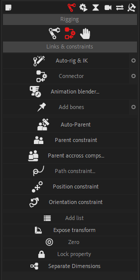 Constraints panel